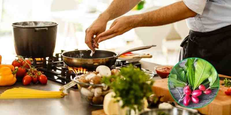 USOS-MODERNOS-Y-BENEFICIOS