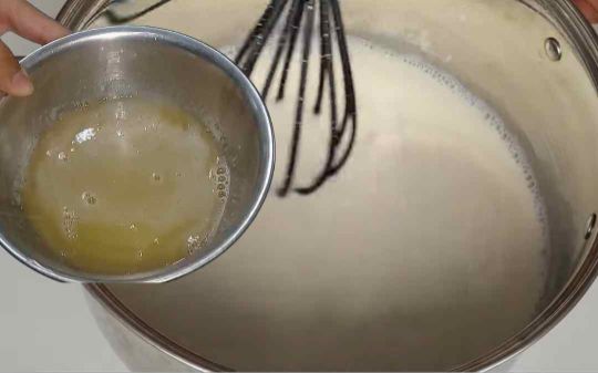 INCORPORAR-LA-GELATINA-SIN-SABOR