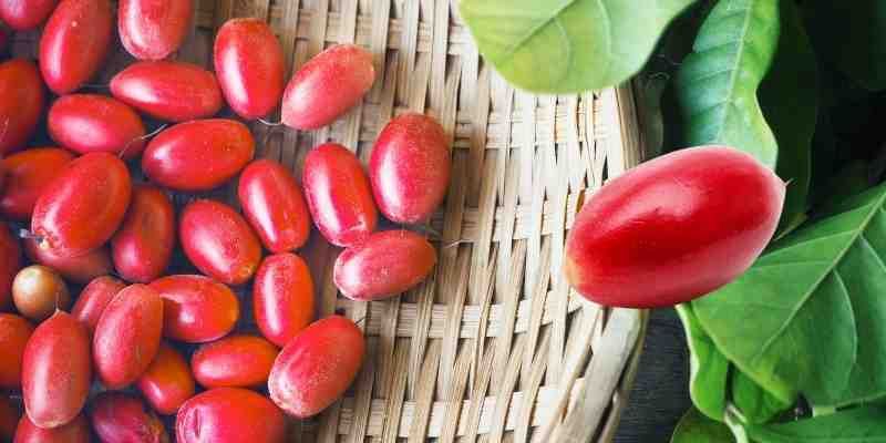 EL-SECRETO-DE-LA-FRUTA-MILAGROSA-LA-MIRACULINA