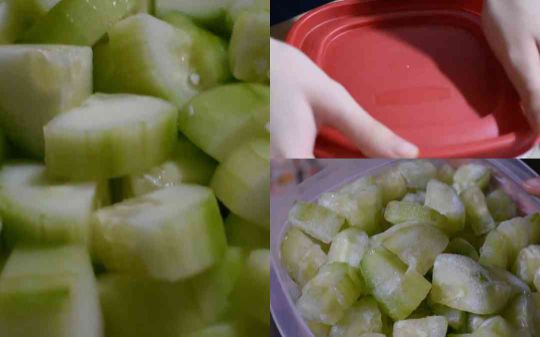 CONGELA-EL-PEPINO