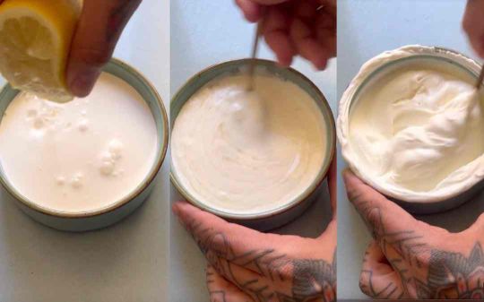 INCORPORA-EL-YOGUR-Y-EL-CEBOLLIN
