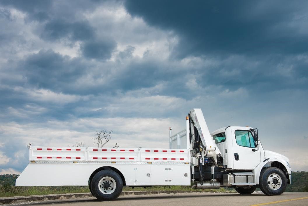 Camion Grua Articulada, Izaje de Carga, NINOX