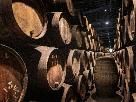Ruta del vino argentina