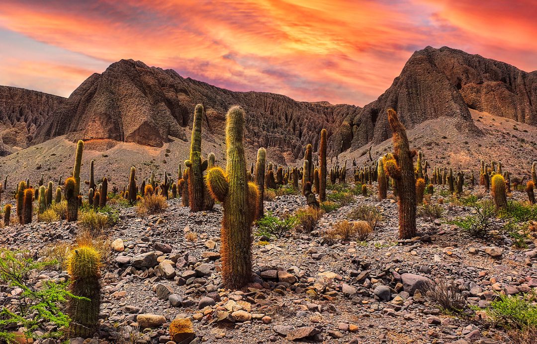 Salta, Argentina