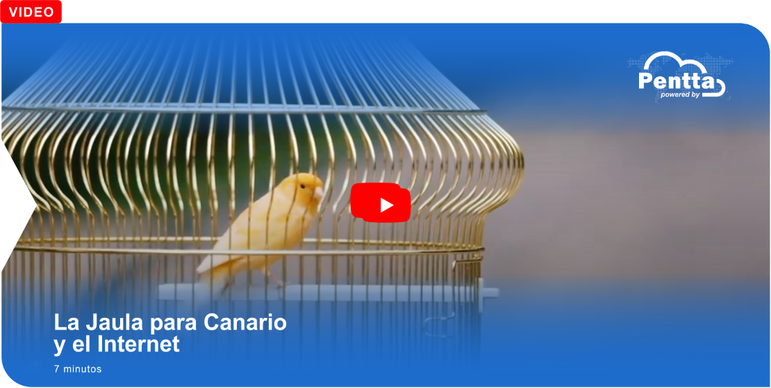 La jaula para canario y el internet