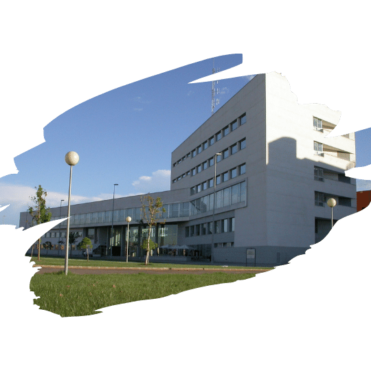 Escuelas y universidades