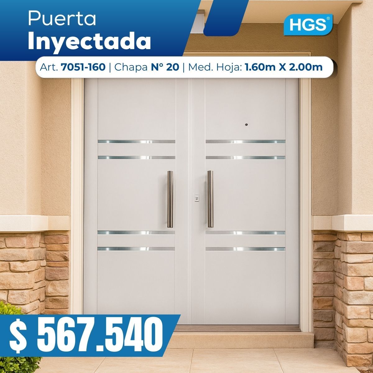 Puerta inyectadad hoja y media