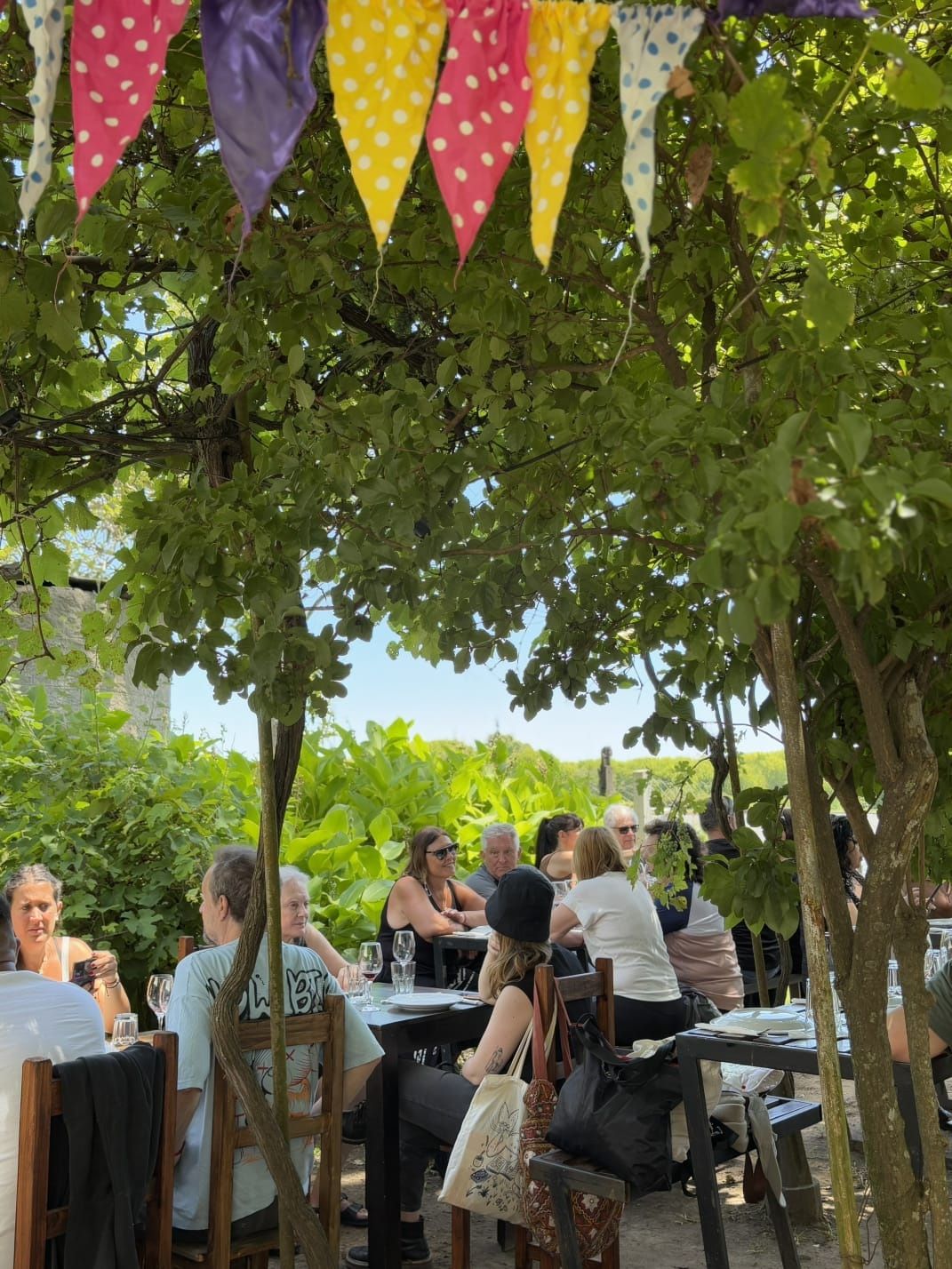  Isla Paulino (Berisso)