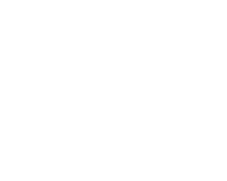 beginner level figure
