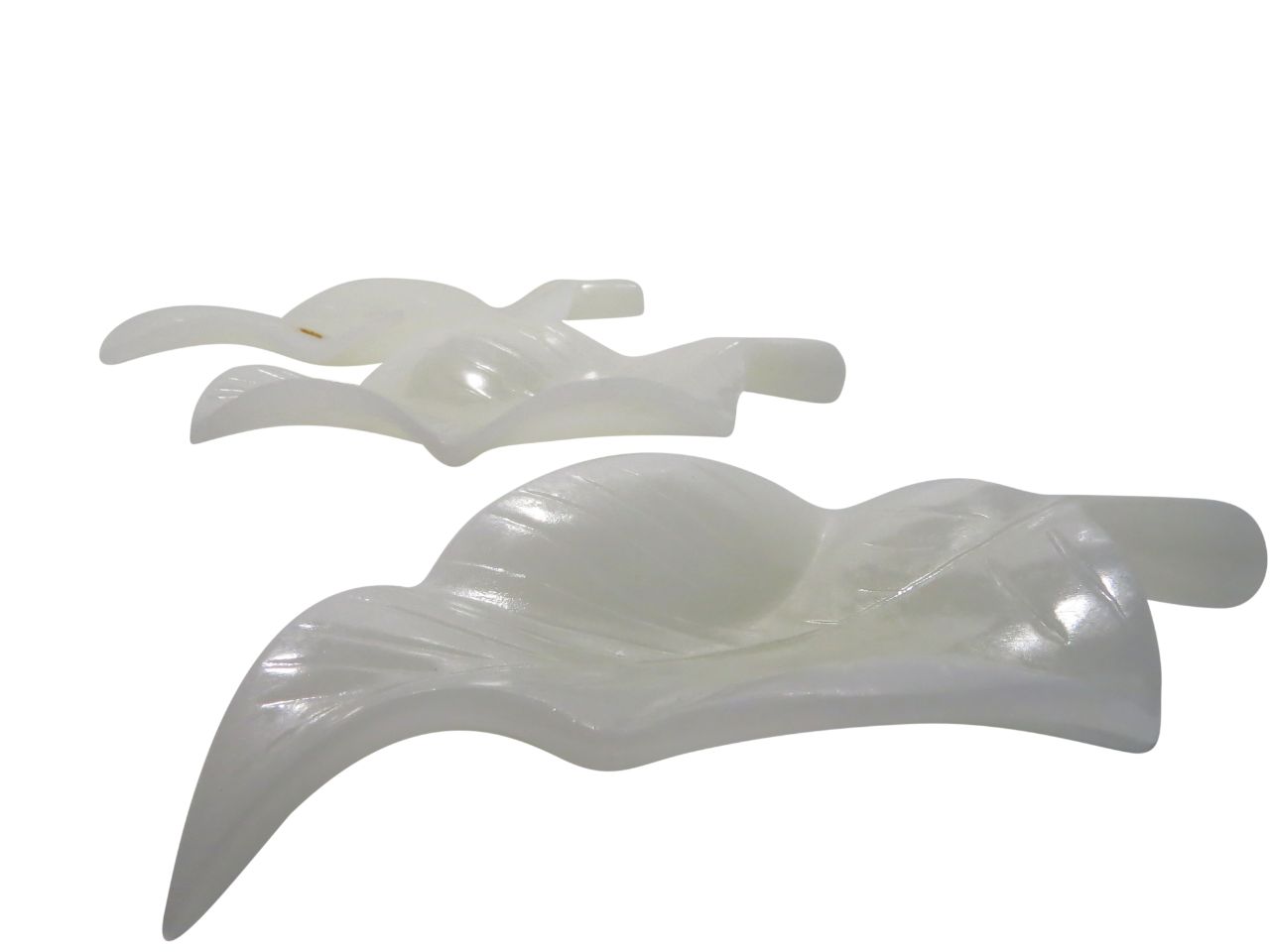 CHAROLAS/TRAY